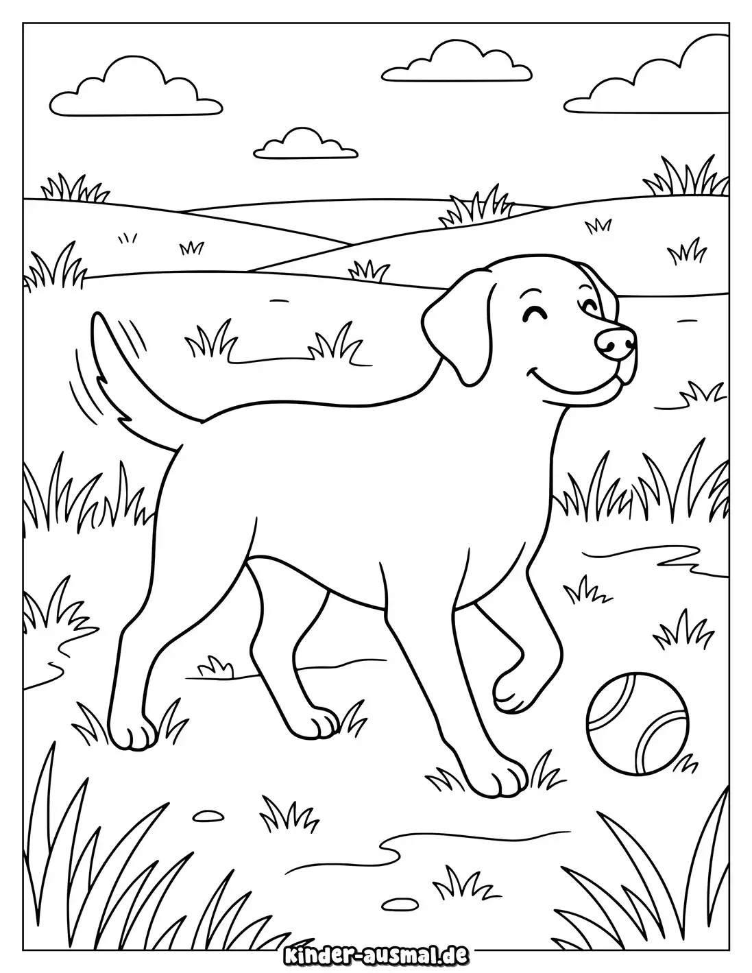 Labrador läuft fröhlich über eine Wiese mit einem Ball.