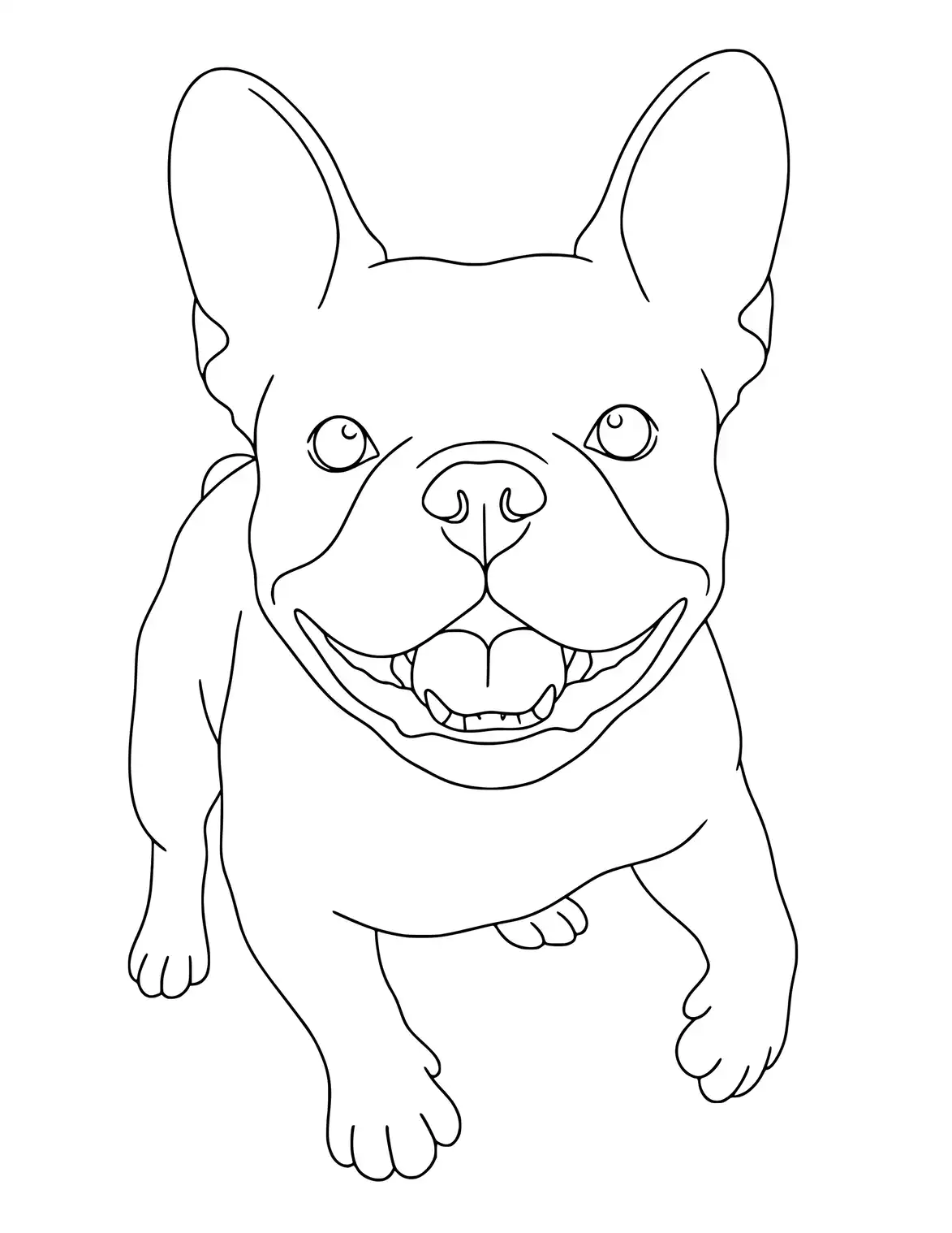 French Bulldog ist bereit zum Spielen.