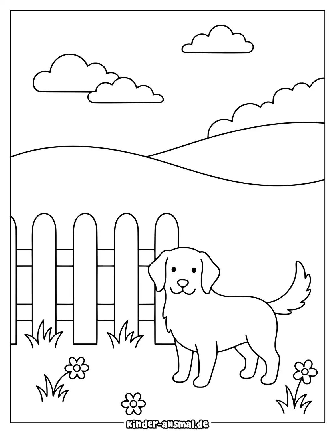 Golden Retriever steht neben einem kleinen Gartenzaun.