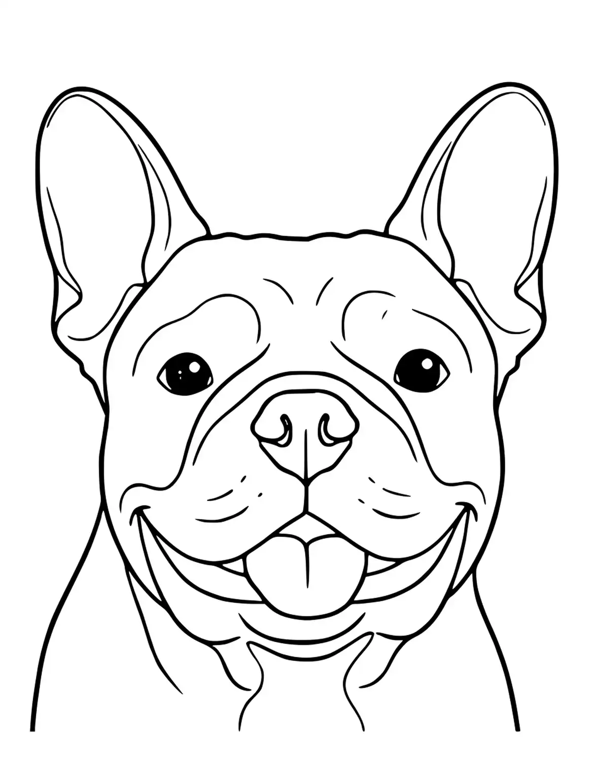 Nahaufnahme vom Gesicht eines French Bulldogs.