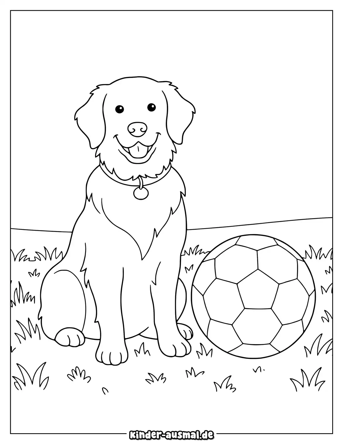 Golden Retriever sitzt neben einem großen Ball im Gras.
