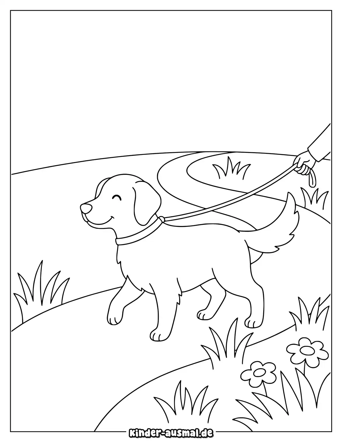 Golden Retriever läuft an einer Leine neben einem Weg.