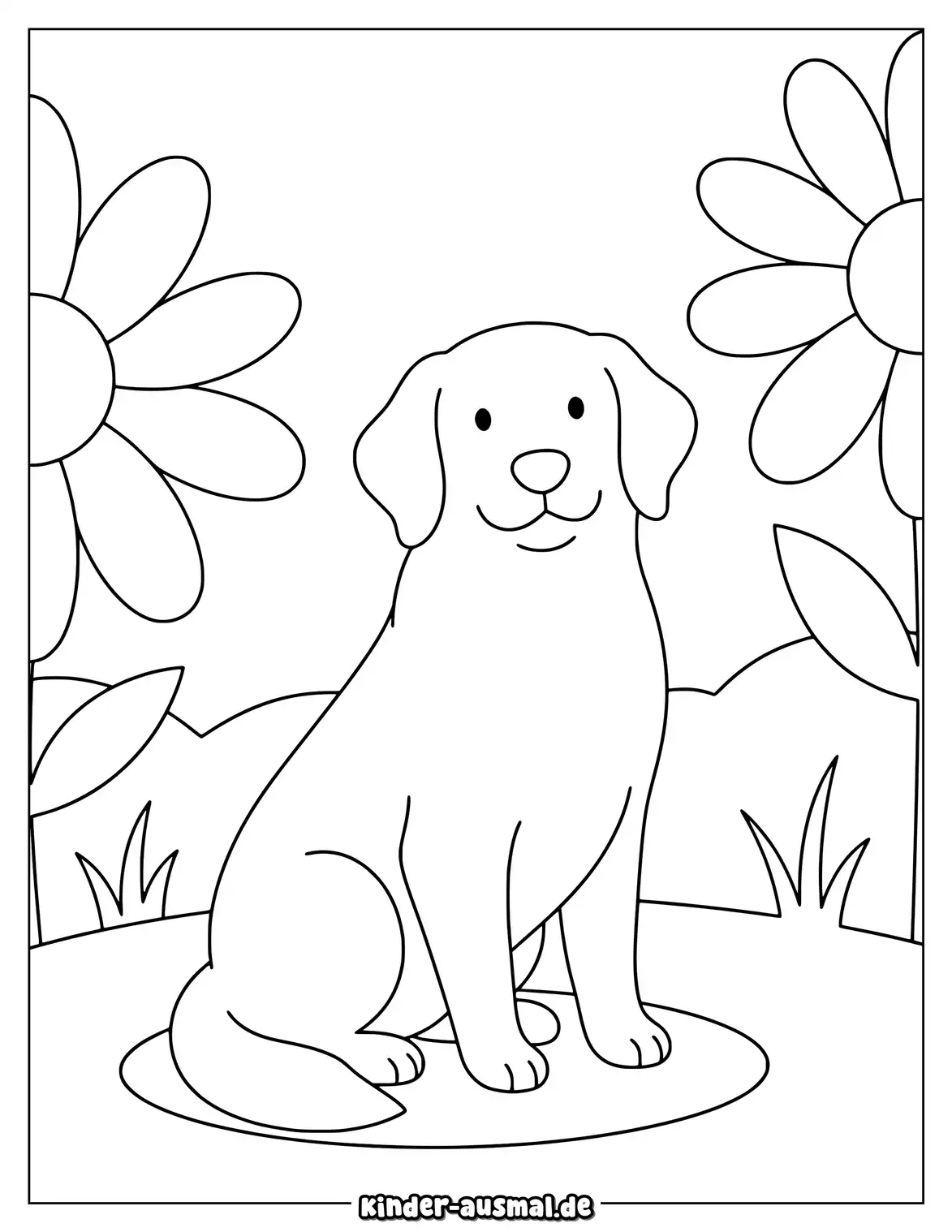 Golden Retriever sitzt zwischen zwei großen Gartenblumen.