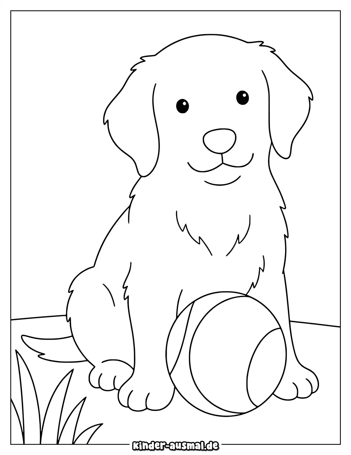 Golden Retriever sitzt mit einem Ball zwischen den Pfoten.