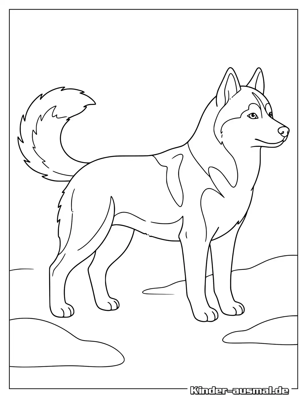 Husky in Seitenansicht zum Ausmalen.