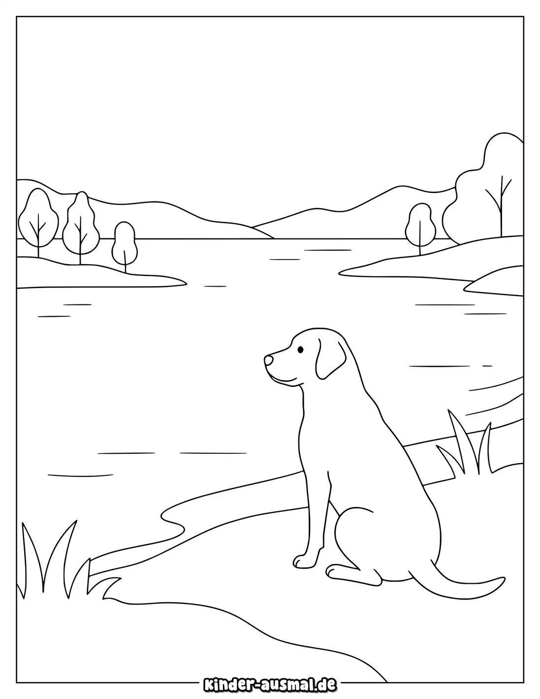 Labrador sitzt am See und schaut auf das ruhige Wasser.