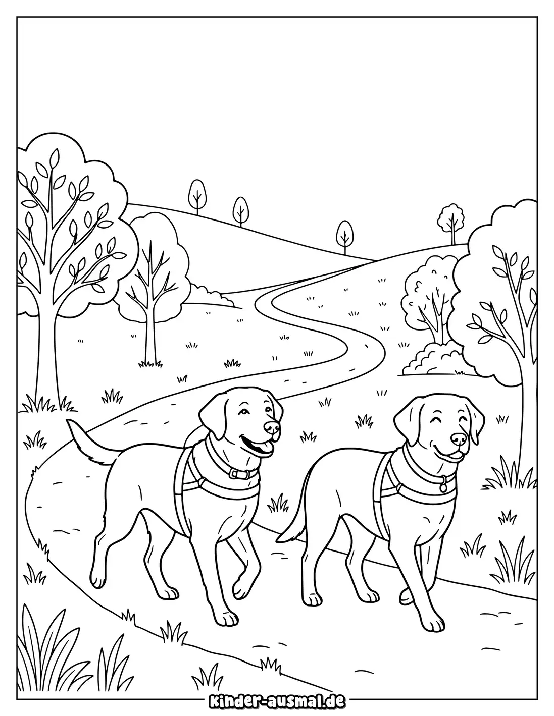 Zwei Labrador Hunde laufen gemeinsam über einen großen offenen Park.