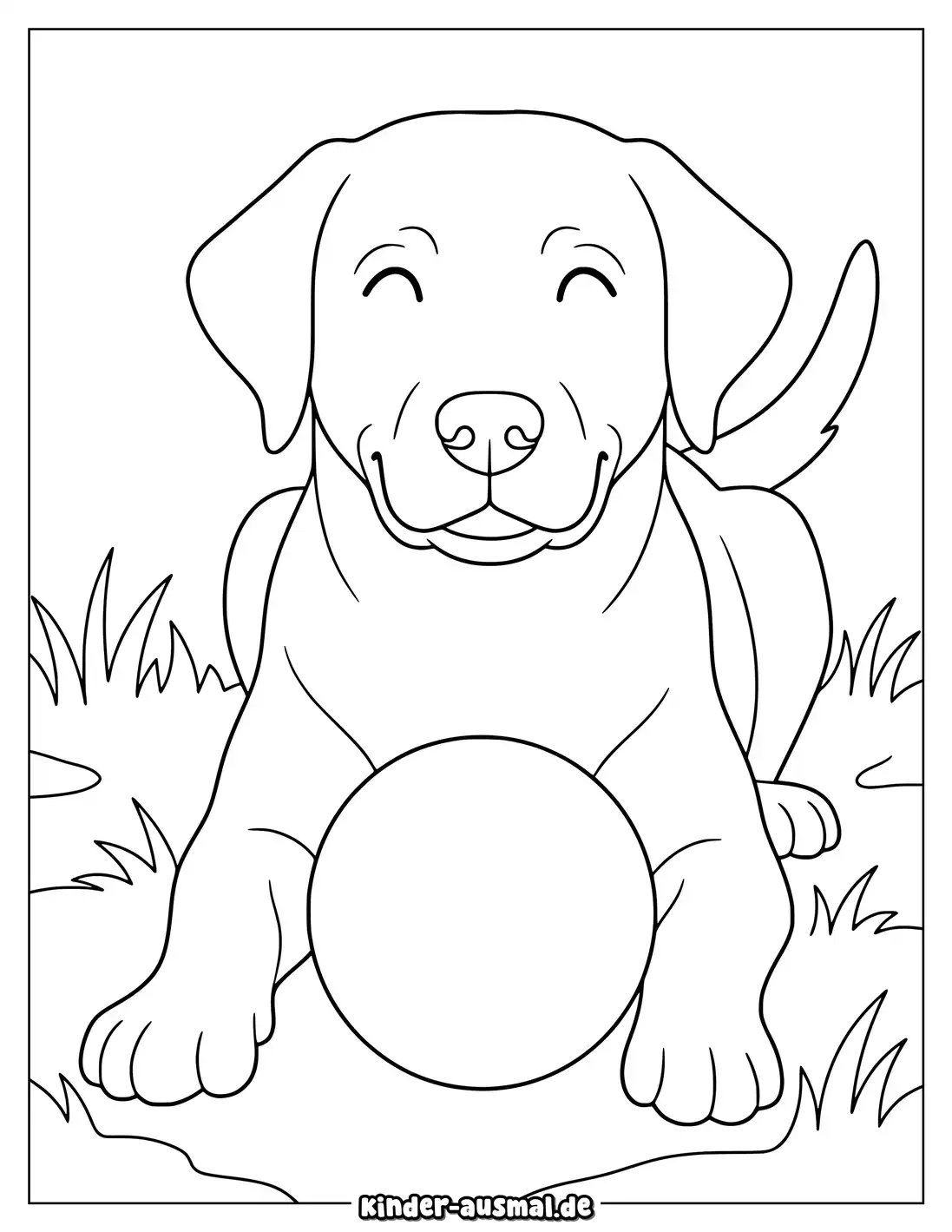 Labrador liegt mit einem Ball zwischen seinen Vorderpfoten.