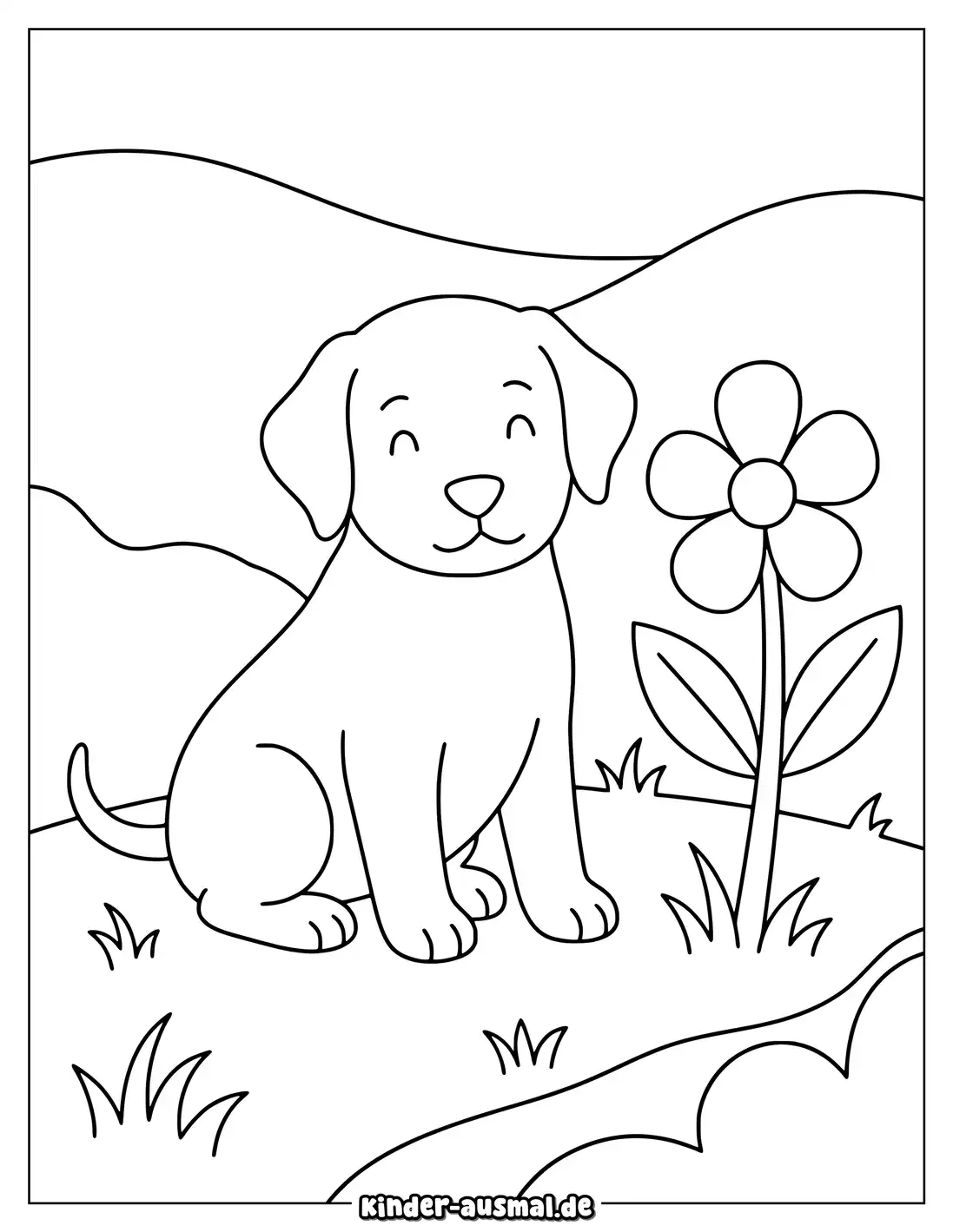Kleiner Labrador Welpe sitzt auf einer Wiese neben einer Blume.