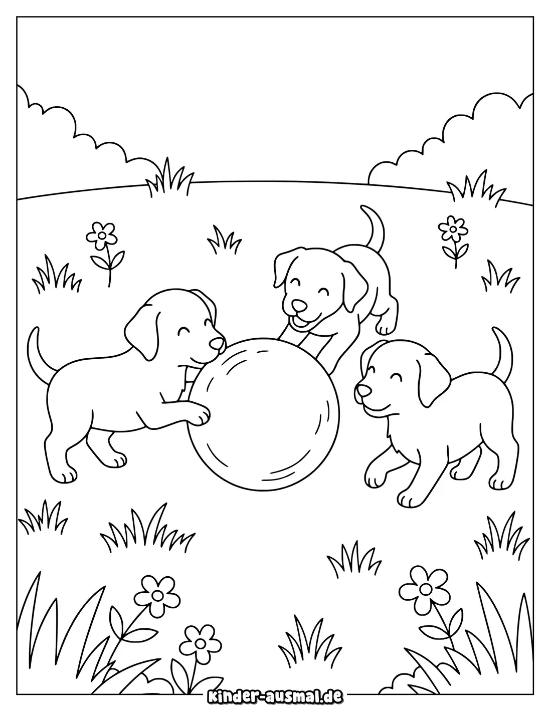 Drei Labrador Welpen spielen gemeinsam mit einem großen Ball.