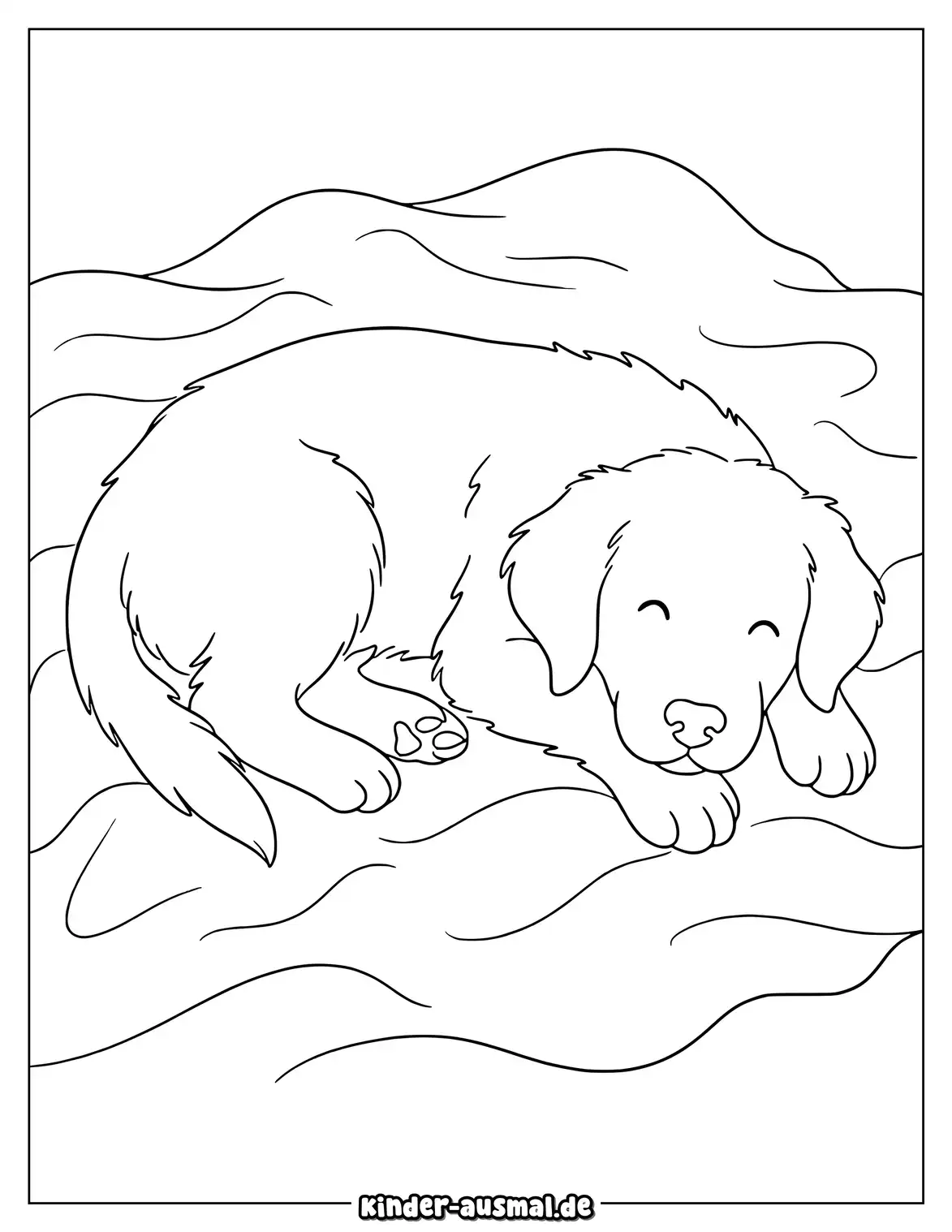 Golden Retriever liegt auf einer weichen Decke.