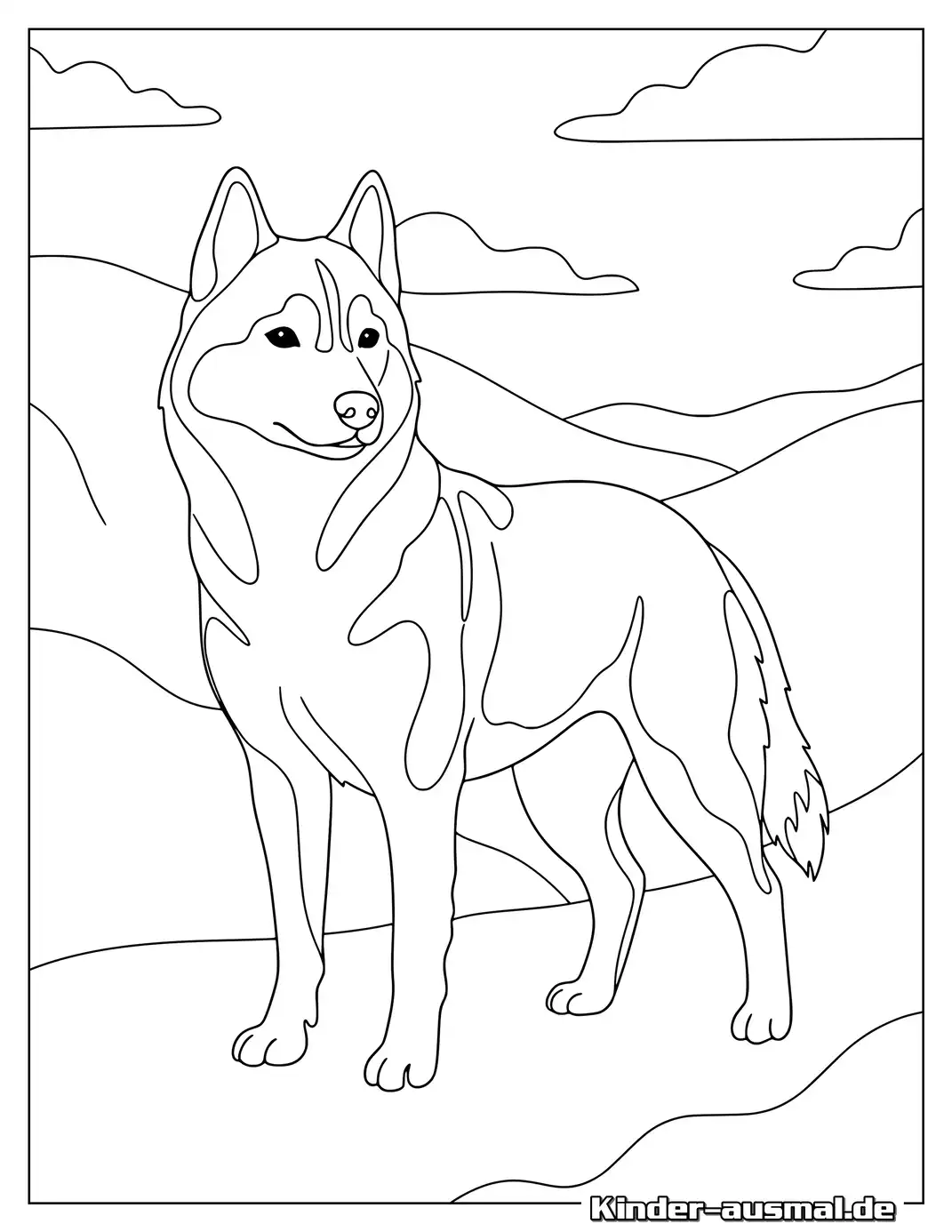 Realistisch gezeichneter Husky zum Ausmalen.