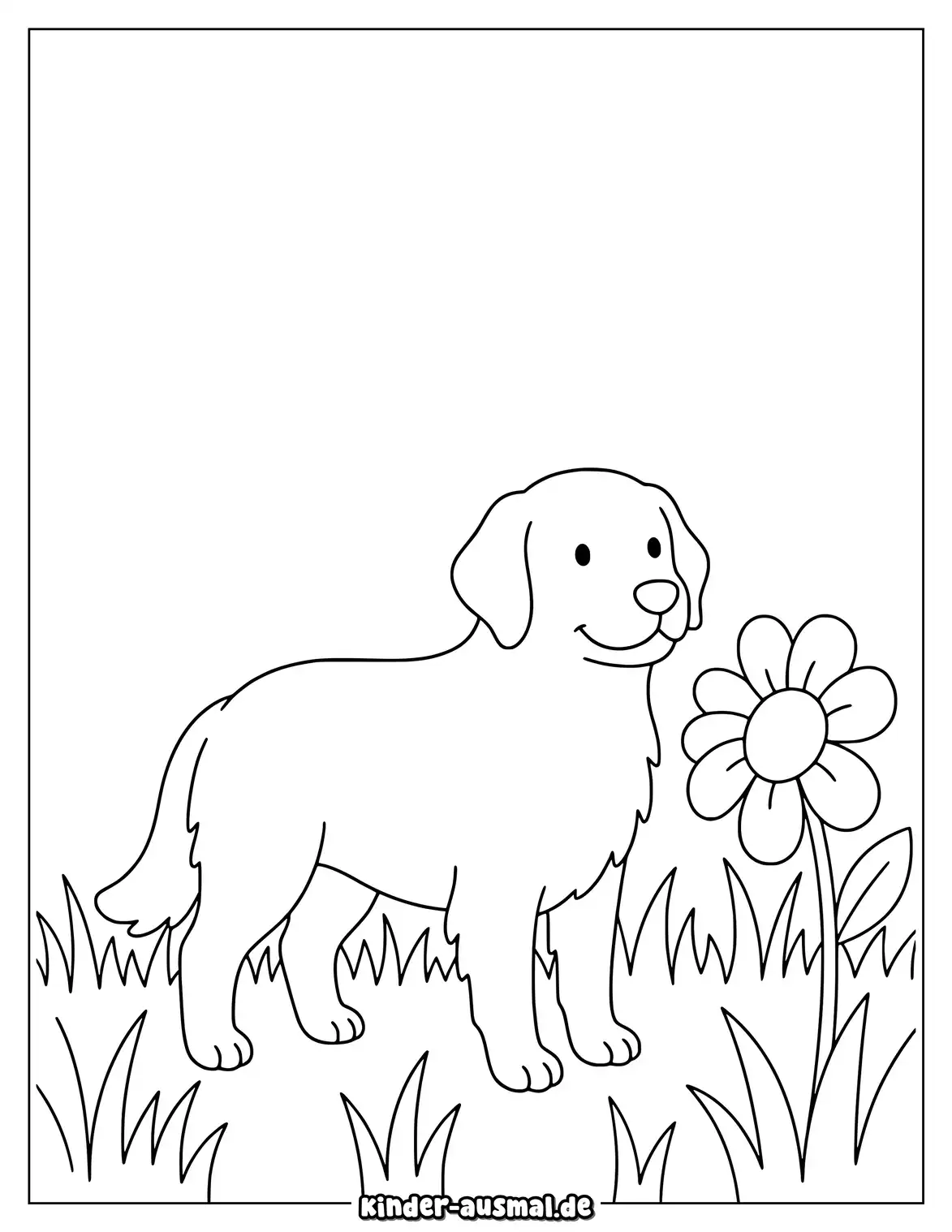 Golden Retriever steht auf einer Wiese mit einer Blume.