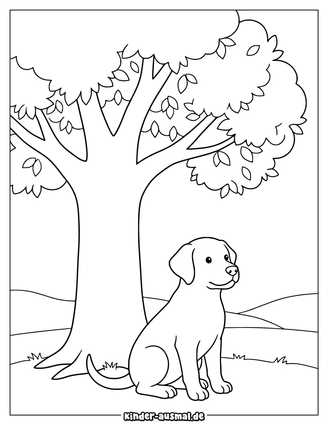 Süßer Labrador sitzt unter einem Baum und schaut zur Seite.