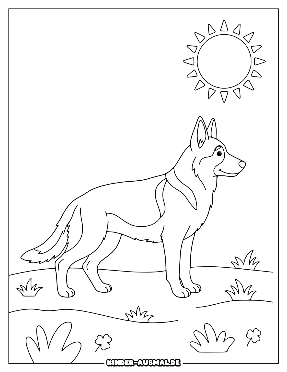 Schäferhund auf einer Wiese unter einer einfachen Sonne.