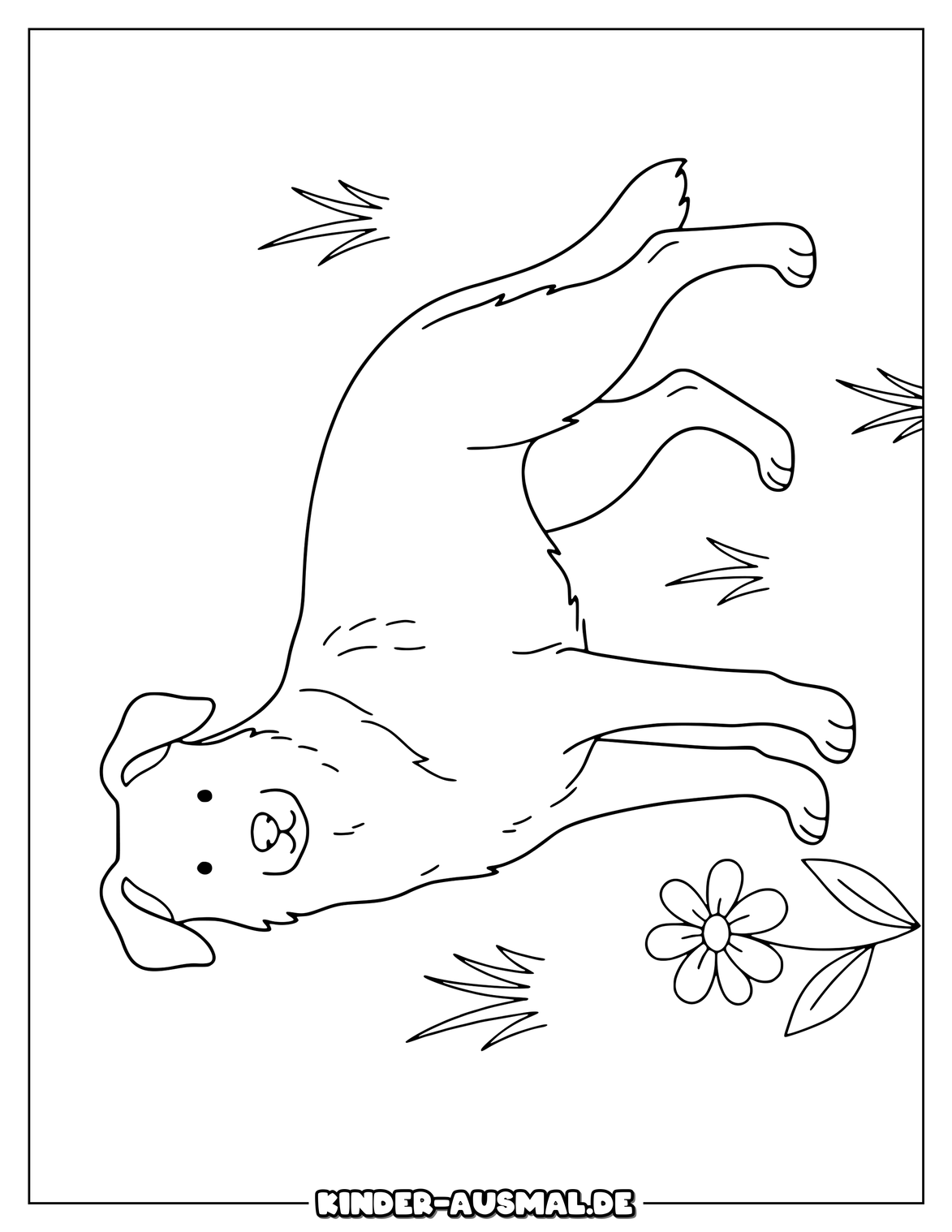 Schäferhund neben Grasbüscheln und einer kleinen Blume.