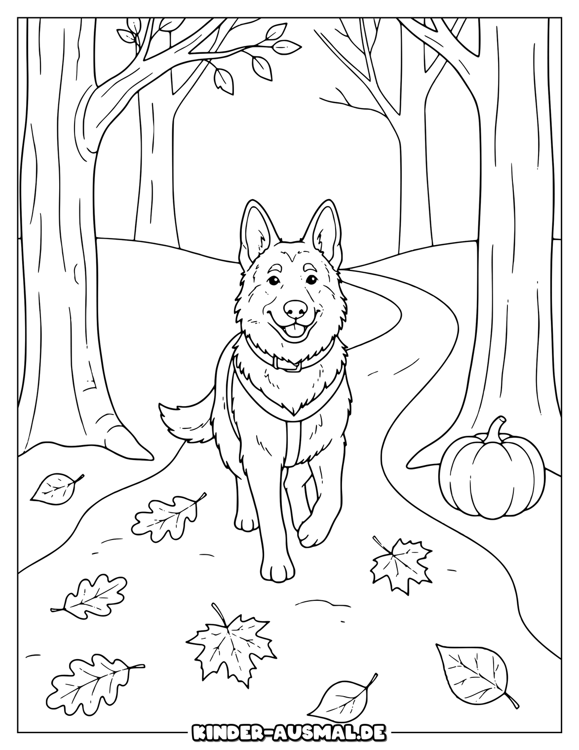 Schäferhund auf Herbstweg mit Blättern Kürbis und Bäumen.