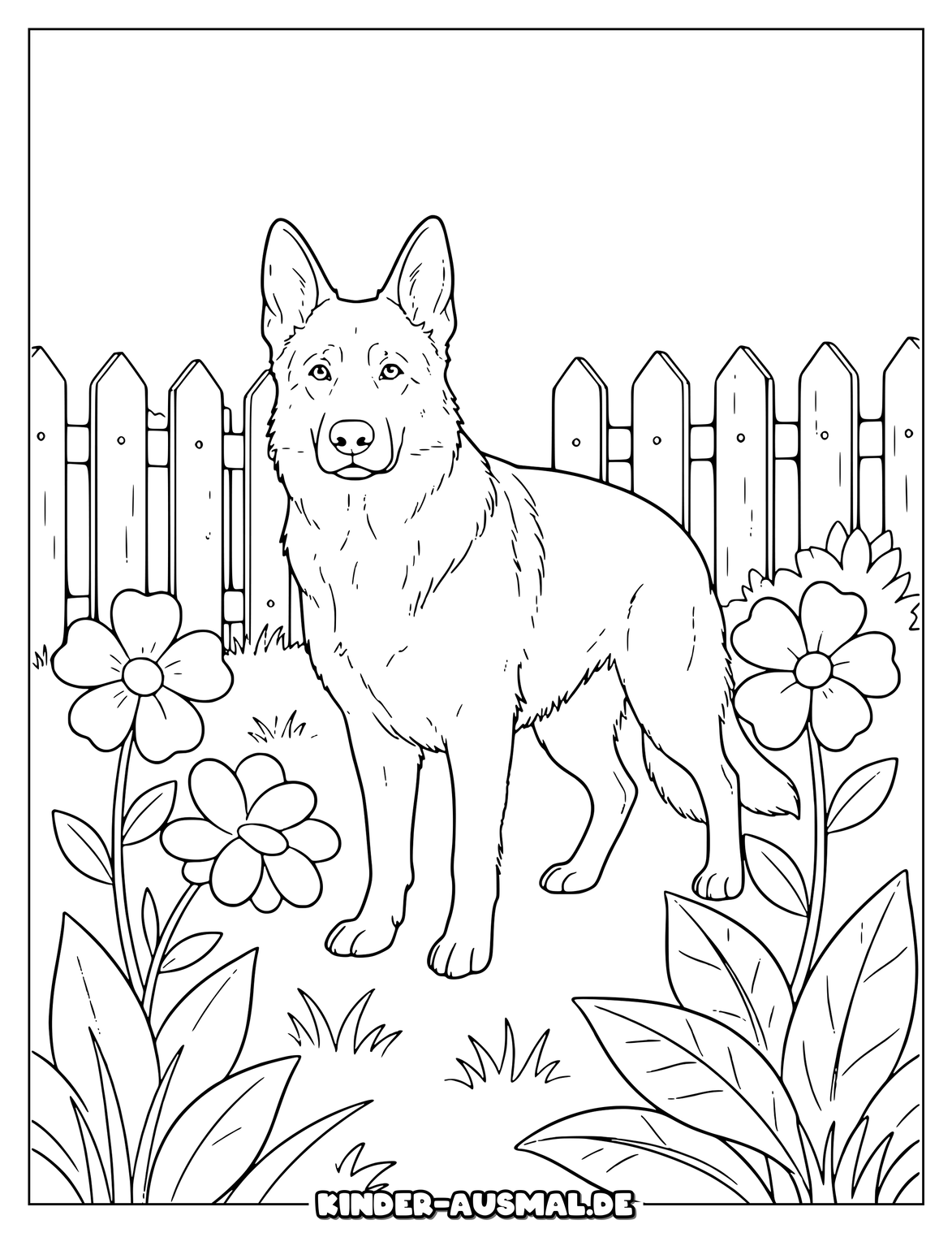 Schäferhund zwischen Zaun Blumen und großer Gartenfläche.