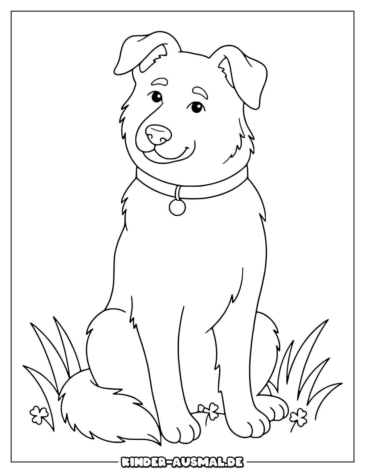 Sitzender Schäferhund mit Halsband und kleinen Grasbüscheln.
